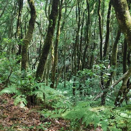 Finca Rural San Agustin