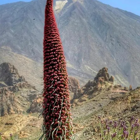 Dom wakacyjny Finca San Agustin El Río